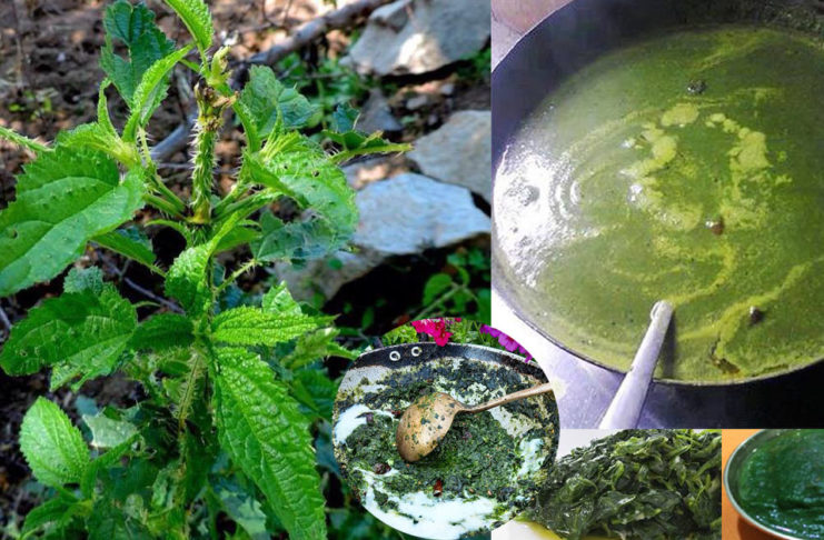 top pahadi food