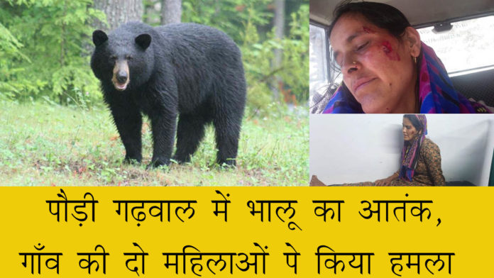 bear attacked on village women in uttarakhand